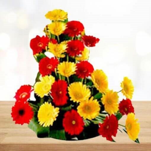Twin Color Gerbera Arrangement