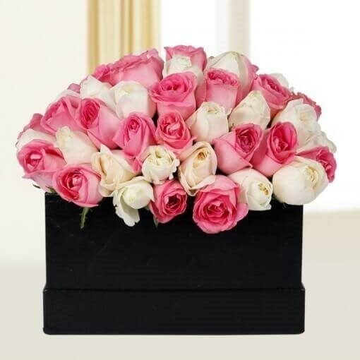 Peaceful Pink N White Roses