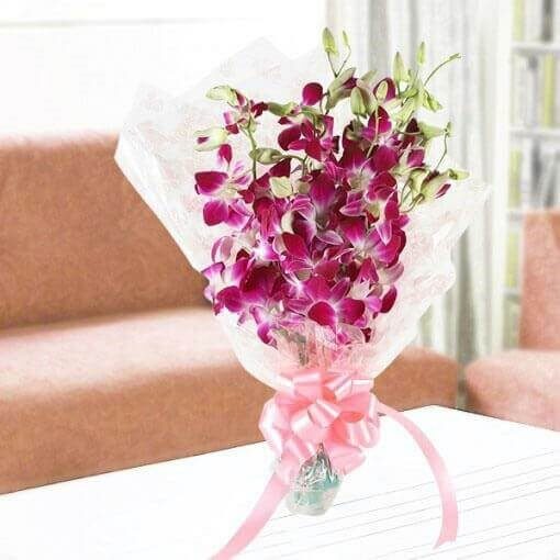 Orchid Love