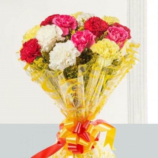 Mix Carnation Bunch