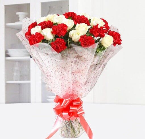 Bunch of Red & White Carnations