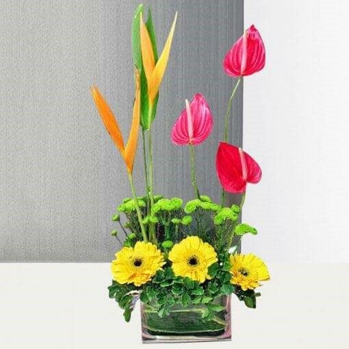 Anthurium & Gerbera in a Vase