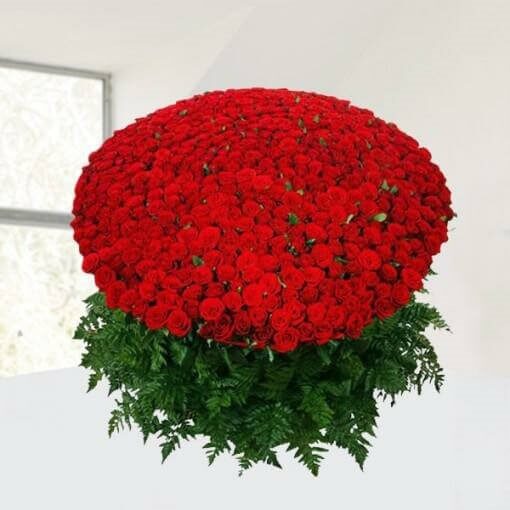 1200 Roses Bouquet