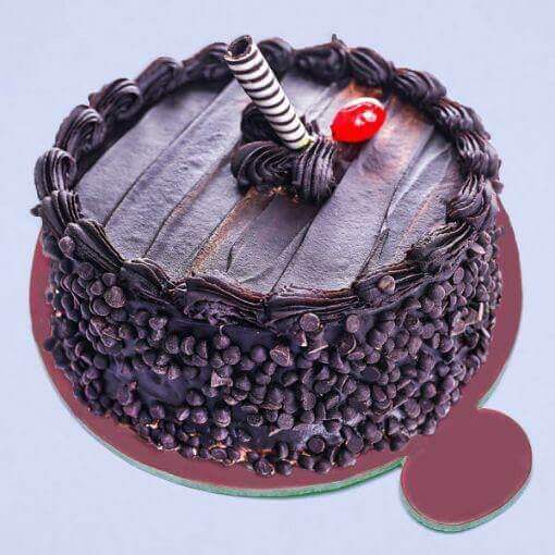 Best WIfe Choco Vanilla Fusion Cake | Winni.in