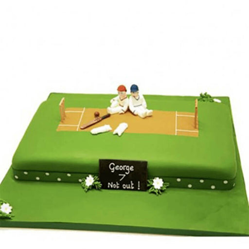 rectangle-shape-cricket-pitch-theme-cake