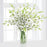 6-white-Orchids-in-a-vase