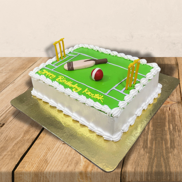 Cricket Pitch Theme Cake