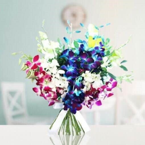 Mixed Orchids Bunch