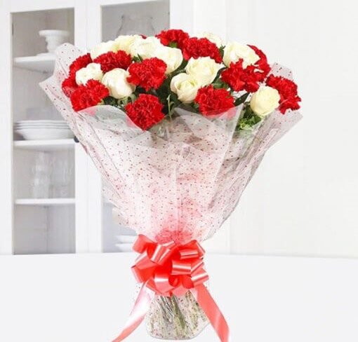 Bunch of Red & White Carnations