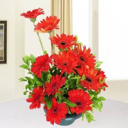 Basket Of Red Gerberas