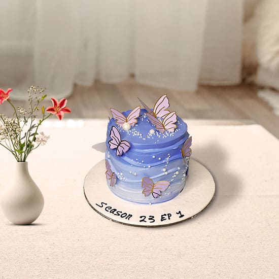 Ombre Butterfly Cake
