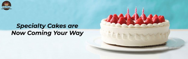 Category Extra Image