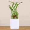 2 Layer Bamboo In Personalised
