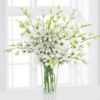 6 White Orchids in a Vase