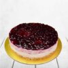 Blueberry-Cheese-Cake