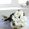 Bunch of 12 White Gerberas