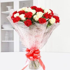 Bunch of Red & White Carnations