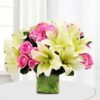 Dazzle-Flower