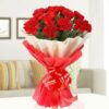 Graceful Red Carnation