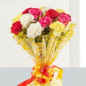 Mix Carnation Bunch