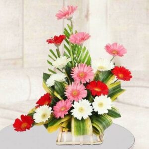 Mix Gerbera Arrangement