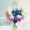 Mixed Orchids Bunch