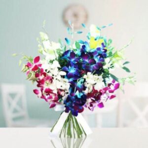 Mixed Orchids Bunch