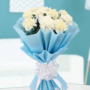 Peaceful White Carnation