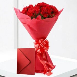 Red Carnation N Greeting Card