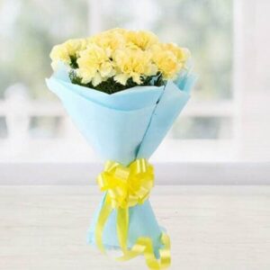 Yellow Carnation
