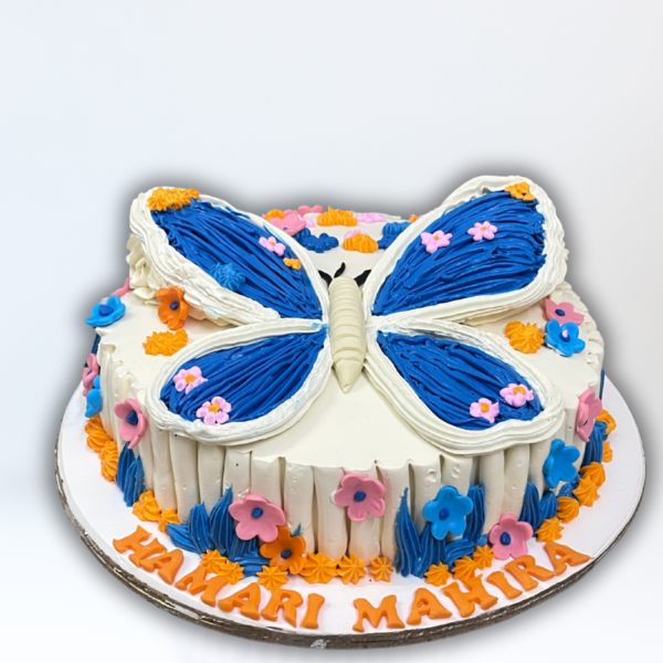 Beautiful Butterfly Cake