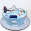 Flying Abroad Theme Cake