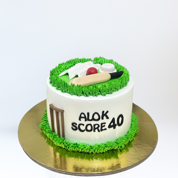 Cricket ground cake