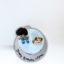 Paws and Play Cake Online